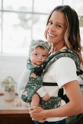 Coast Land Before Tula Standard Baby Carrier