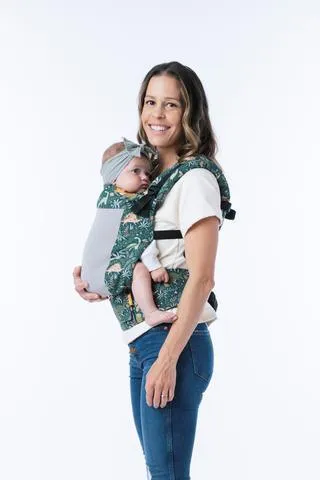 Coast Land Before Tula Standard Baby Carrier