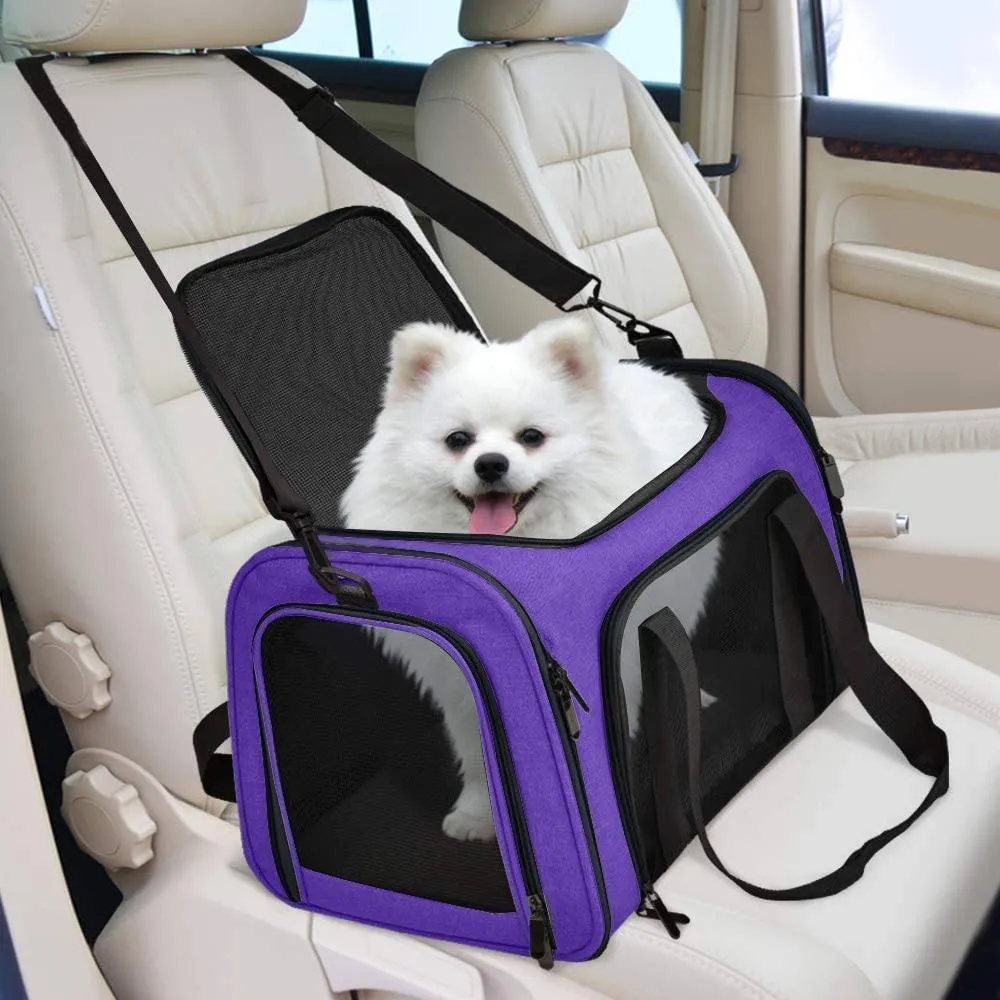 Collapsible Cat Dog Carrier