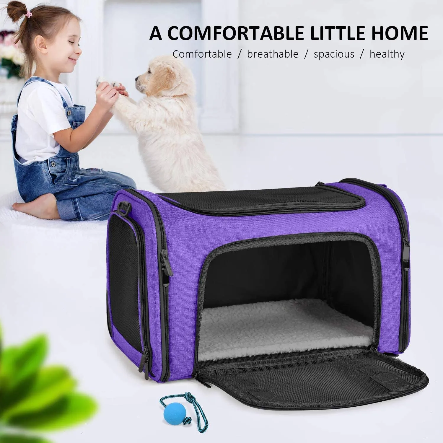 Collapsible Cat Dog Carrier