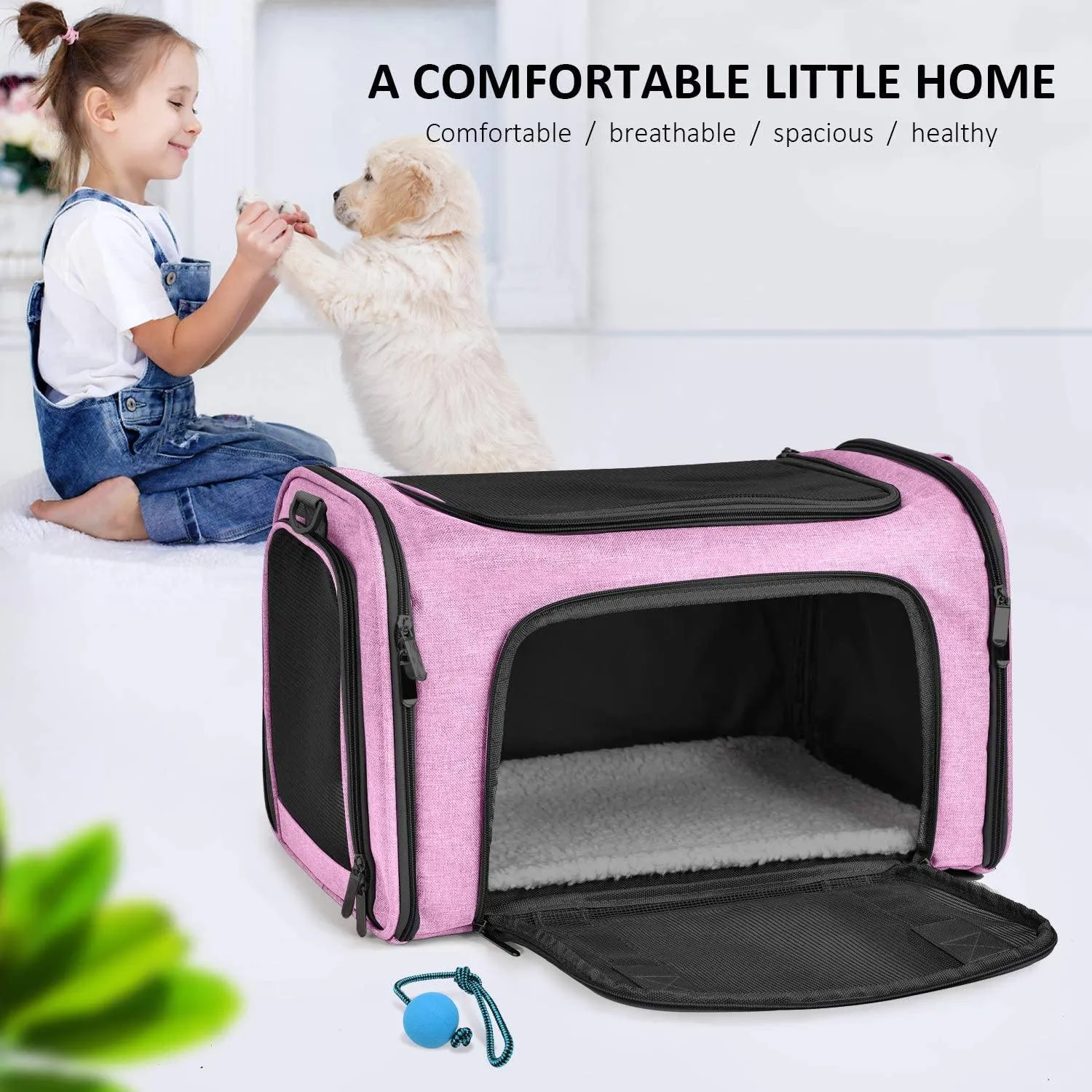 Collapsible Cat Dog Carrier