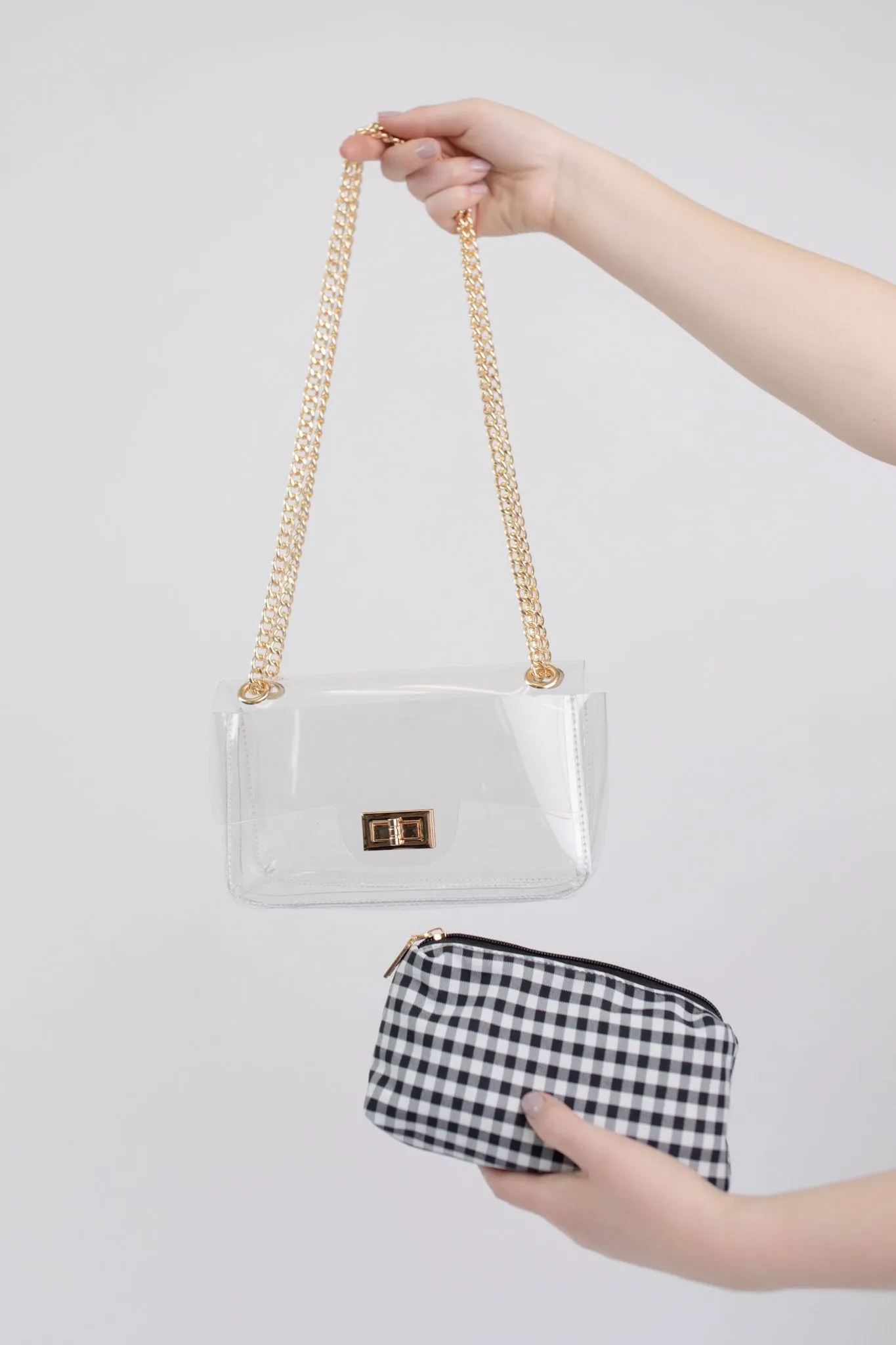 Complete Transparency Gingham Bag