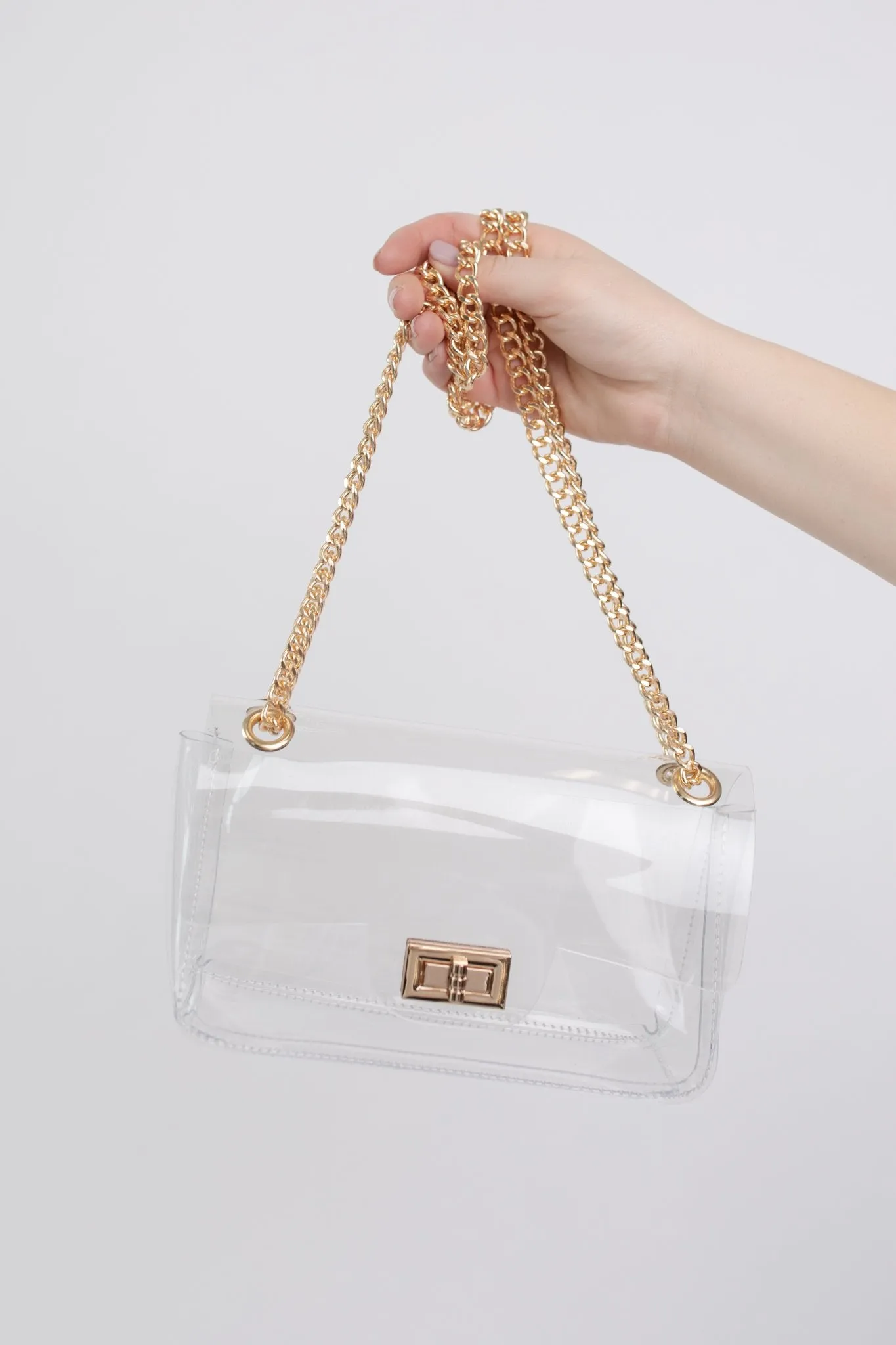 Complete Transparency Gingham Bag