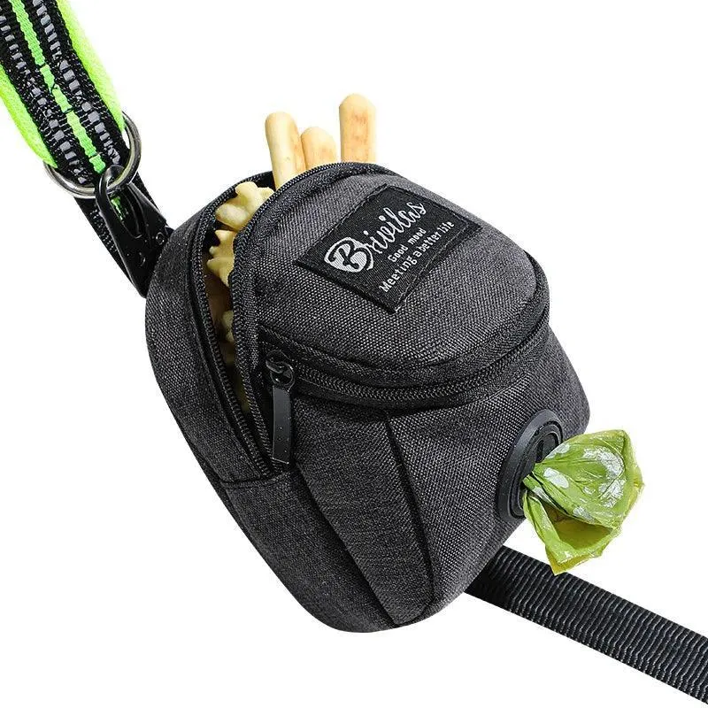 Dog Training Treat Bag: Portable Waist Pouch for Active Pet Owners