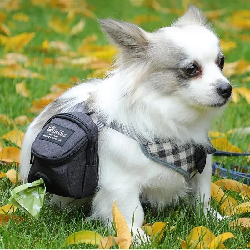 Dog Training Treat Bag: Portable Waist Pouch for Active Pet Owners