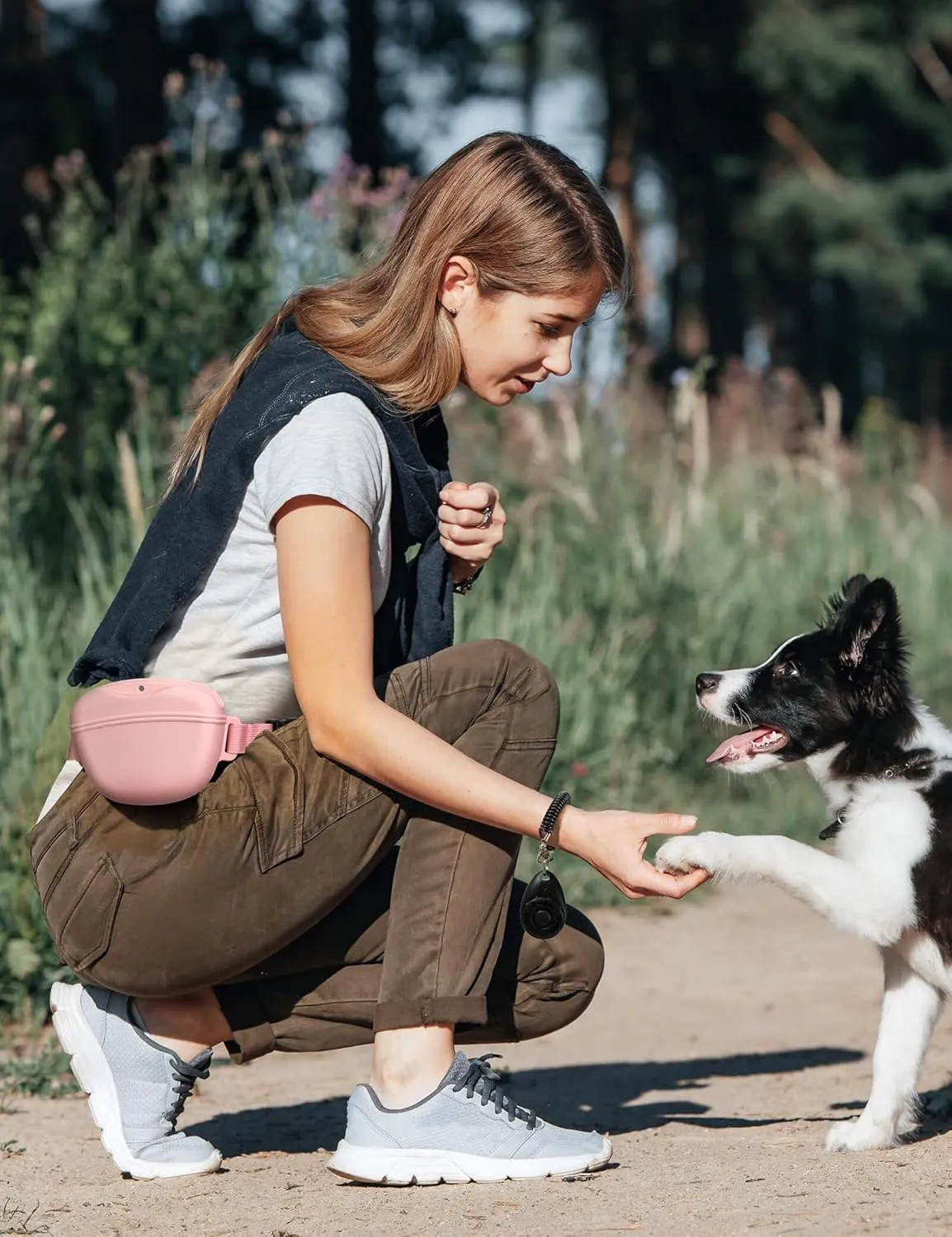 Dog Treat Pouch with Training Clicker