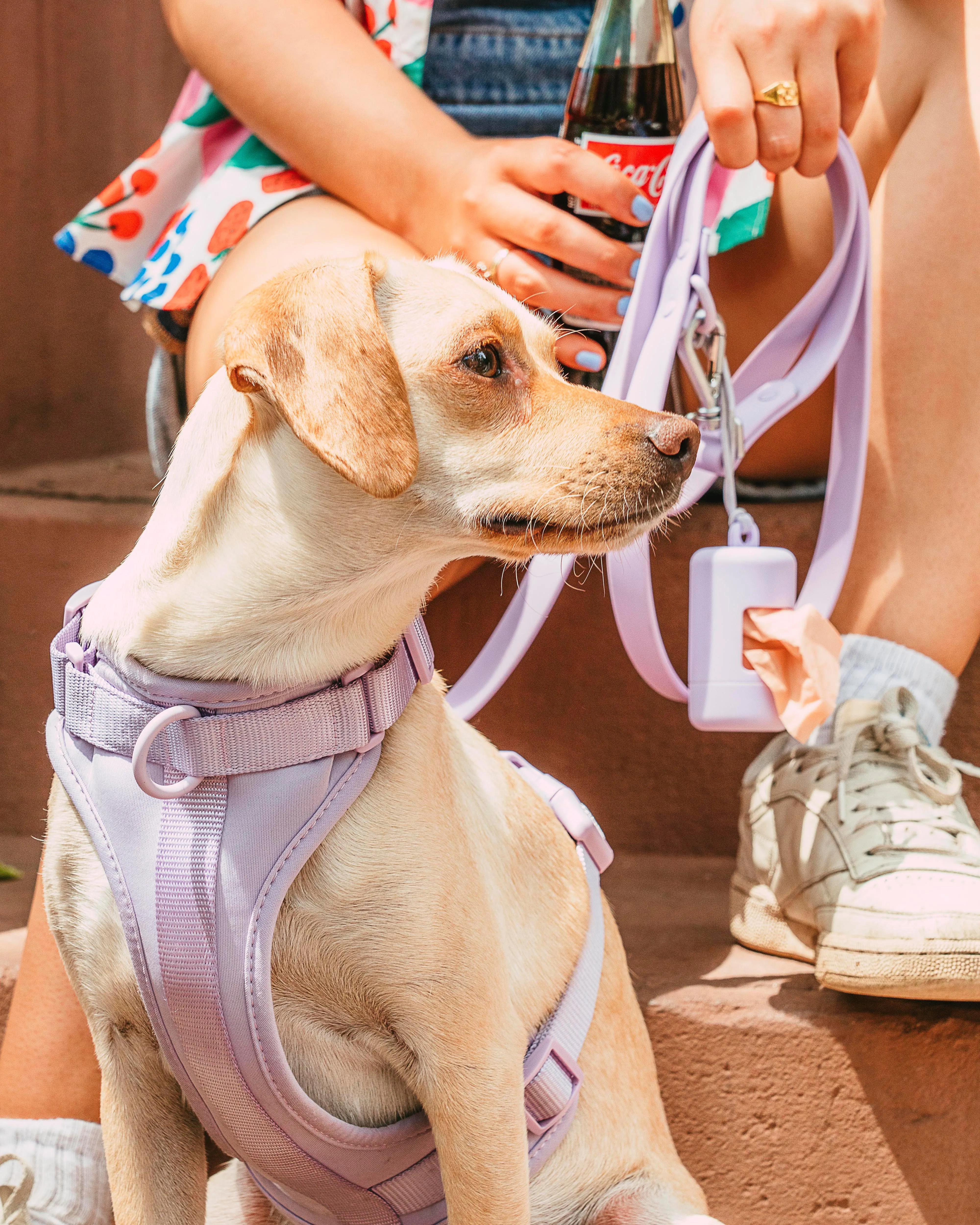 Harness Walk Kit