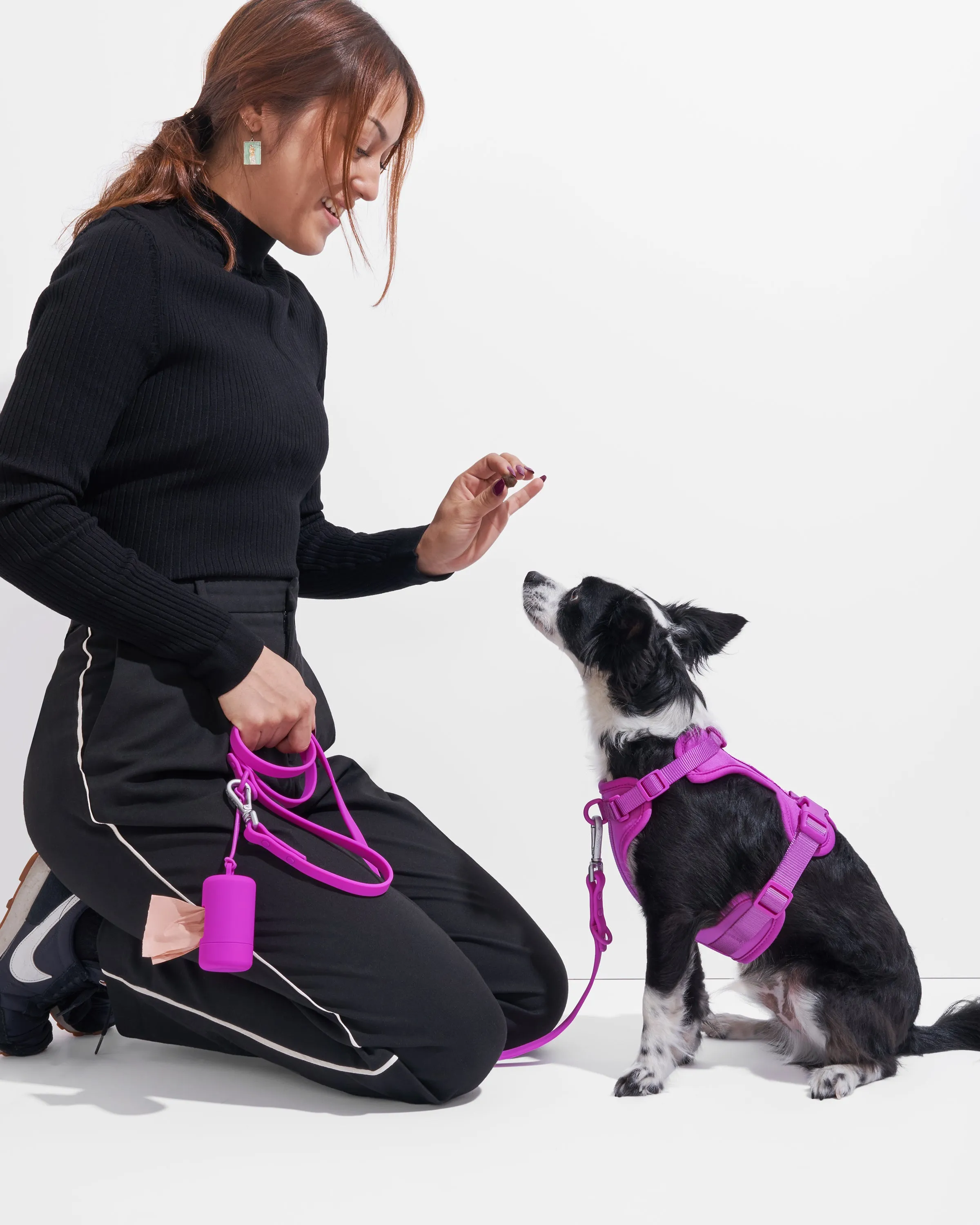 Harness Walk Kit